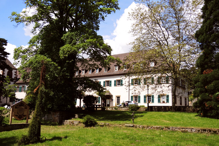 Qigong-Kloster-Liebfrauenberg-Elsass